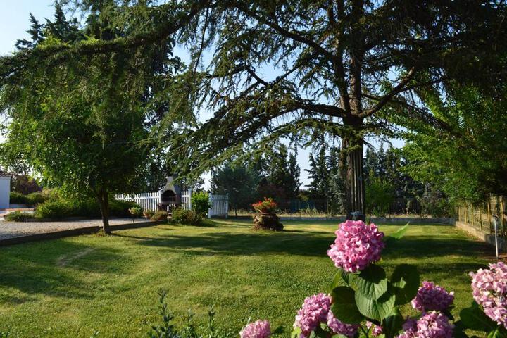 General 19 of 98