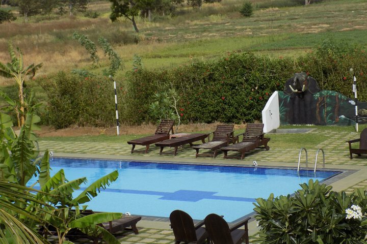 Pool 74 of 118