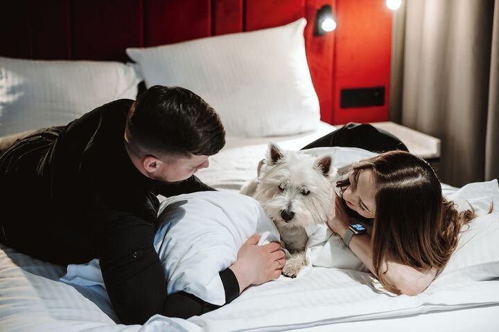 Pet Friendly 61 of 134
