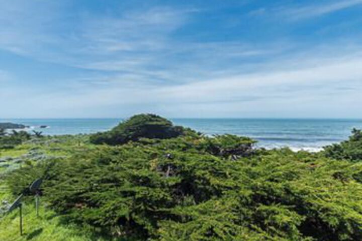 Beach or Ocean View