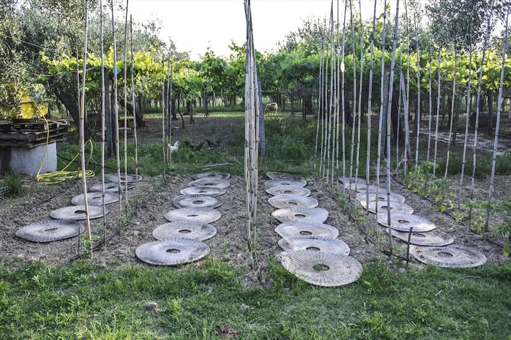 outside