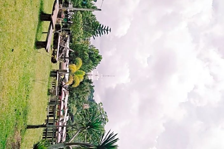 Photo 15