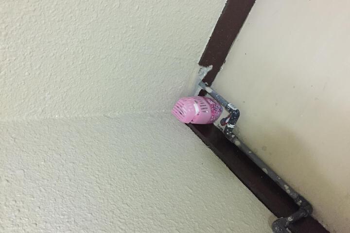 Chens House Room 202