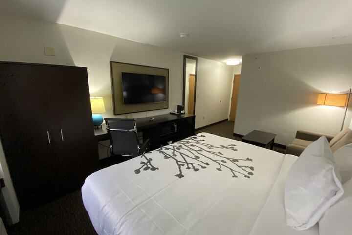 1 King Bed Accessible (9 of 15)