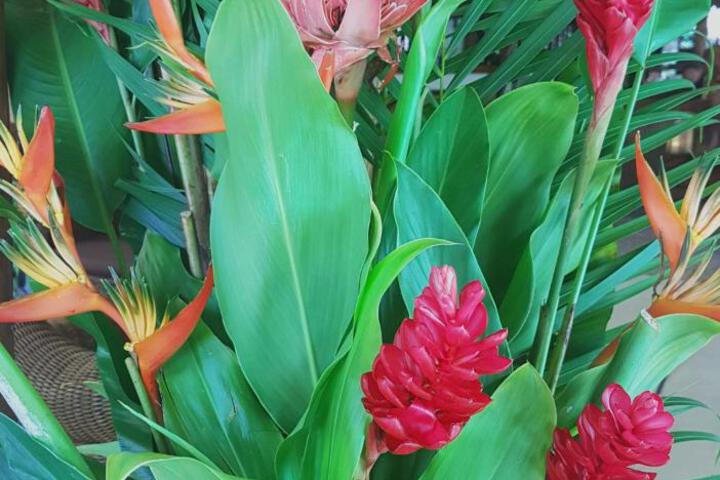 Fitness Facility Photos