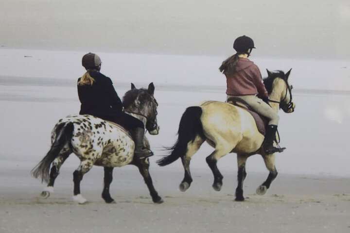Horseback riding