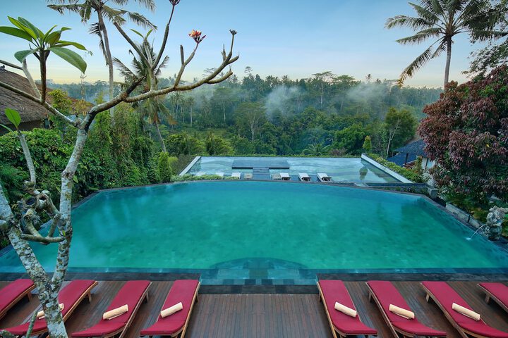 Pool 59 of 135