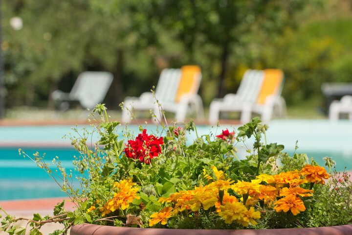 Hotel Pool