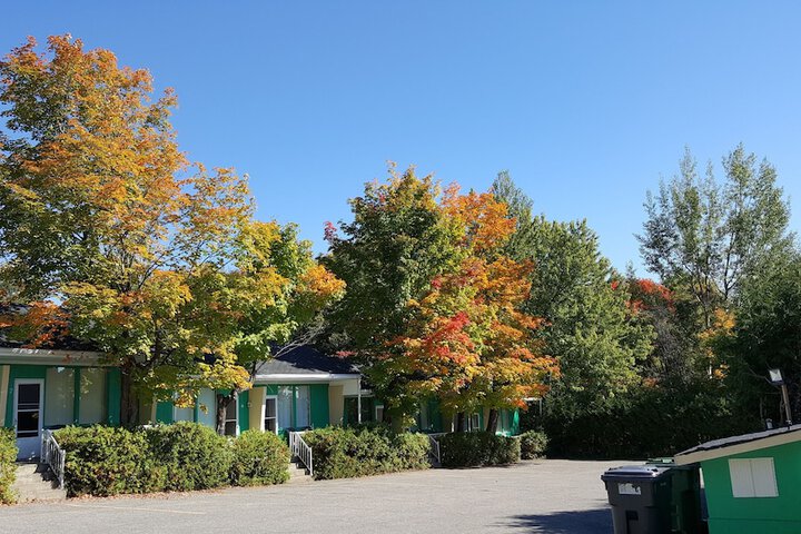 Property Grounds 38 of 43