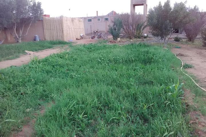 Maison dHôte Sahara La Belle Vue