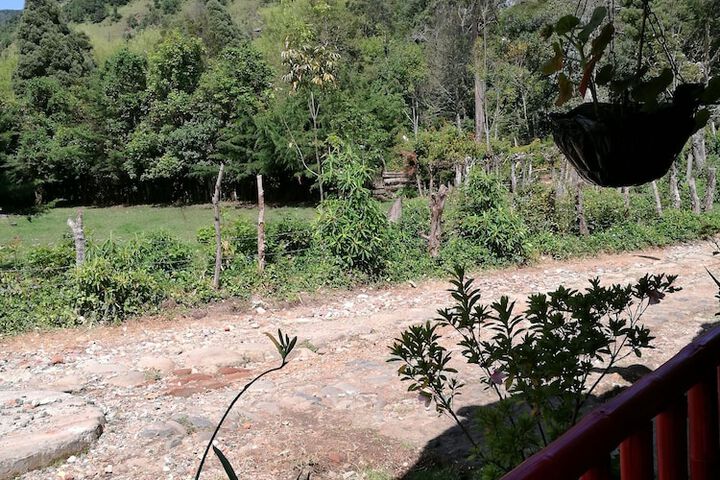 Terrace/Patio 6 of 12