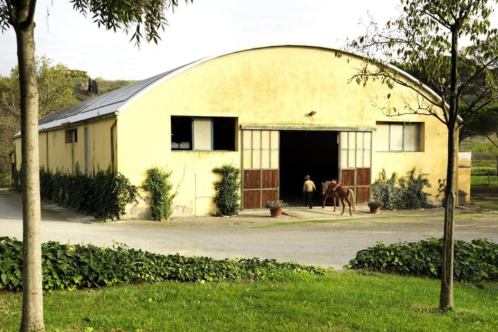 Sports facility