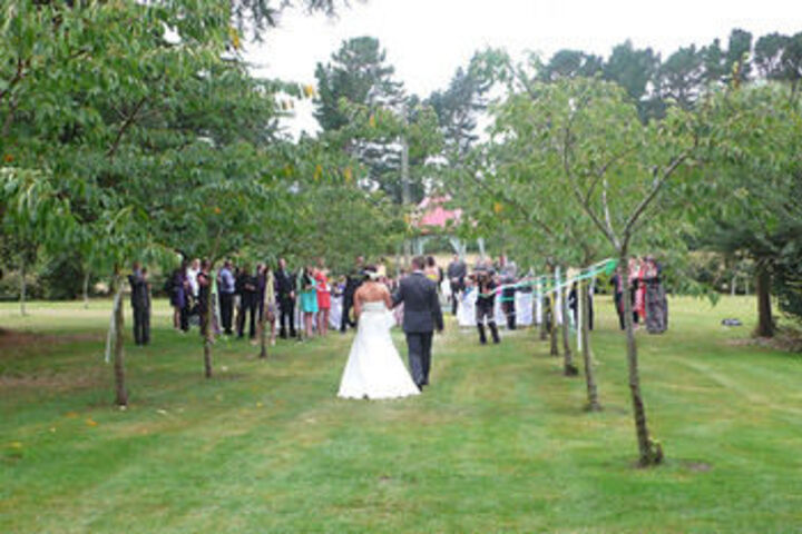 Wedding/Banquet 23 of 32