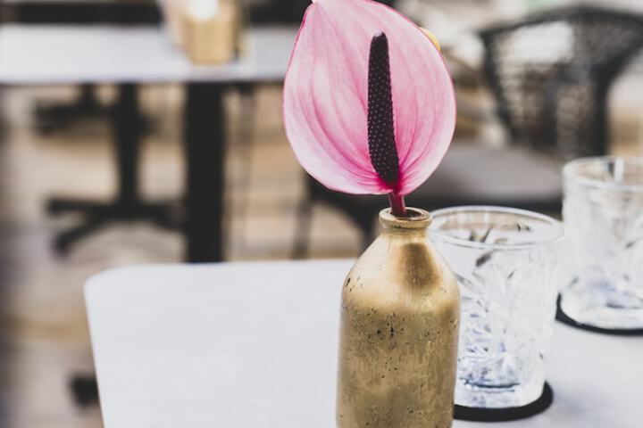 Dining Photos