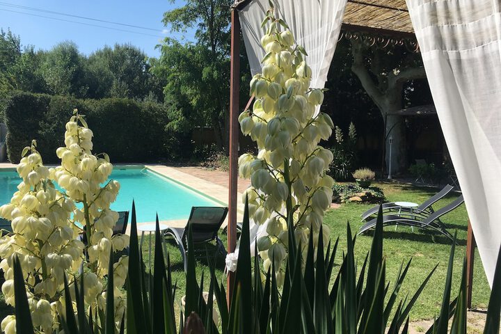 Pools & Facilities