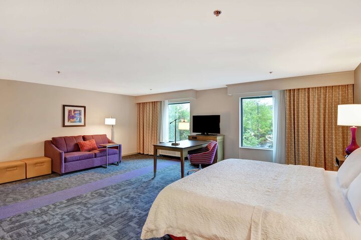 1 King with Sofa Bed Microwave, Refrigerator (11 of 32)