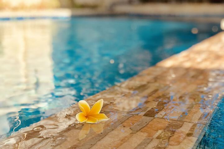 Pool 29 of 69