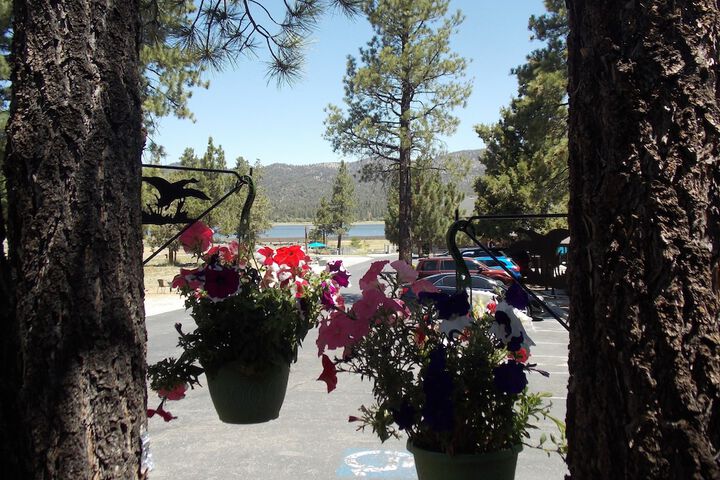 Property Grounds 49 of 51