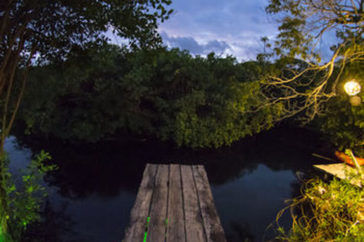 Dock