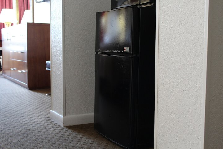 Mini-refrigerator