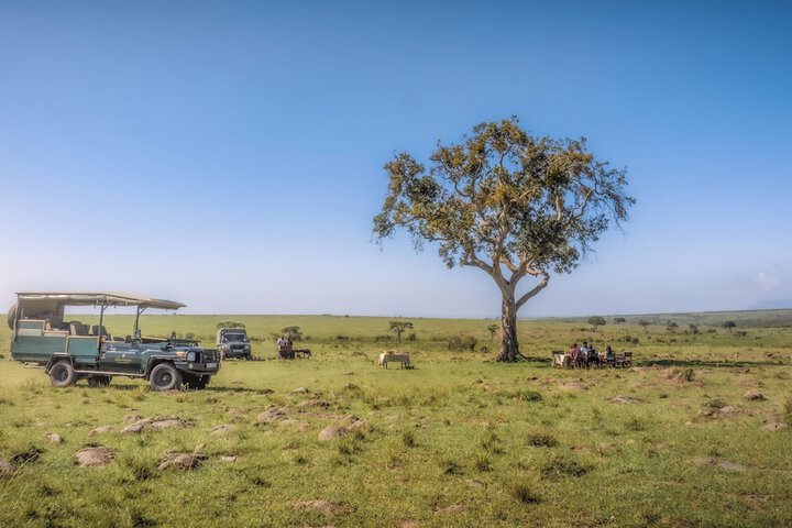 Safari