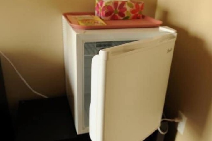 Mini-refrigerator