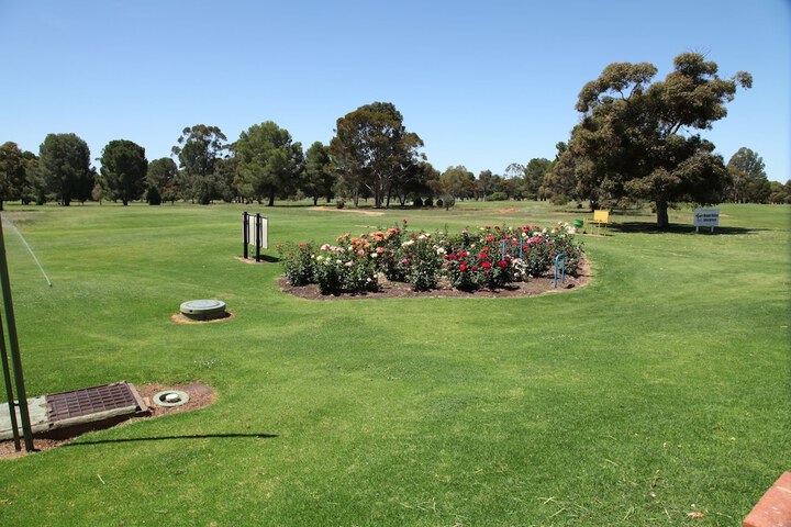 Golf 16 of 37