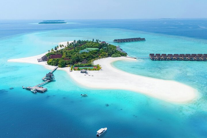 Image of Dhigufaru Island Resort