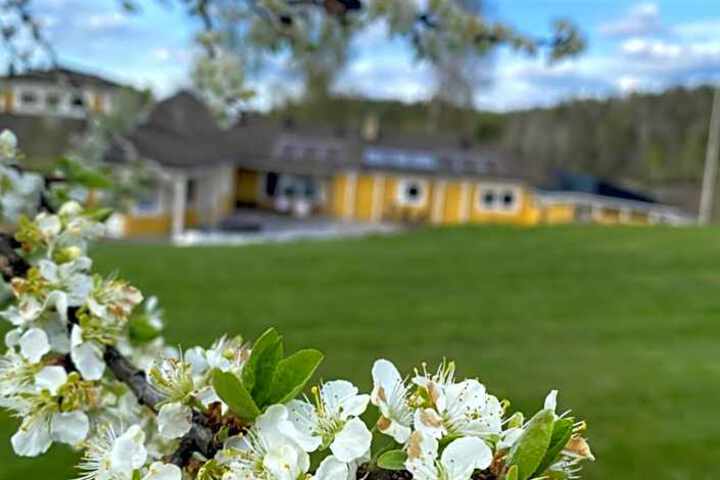 Skönero Valdemarsvik