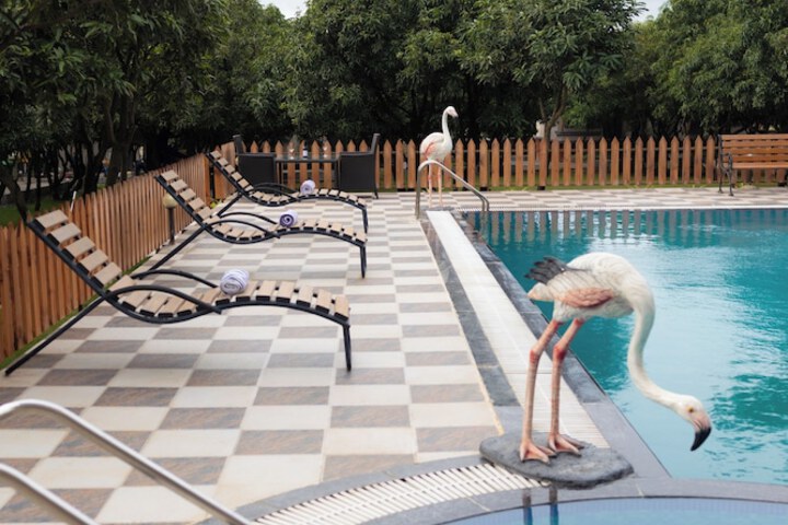 Pool 38 of 58