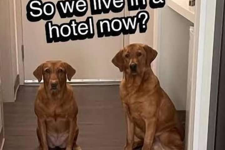 Pet Friendly 89 of 122