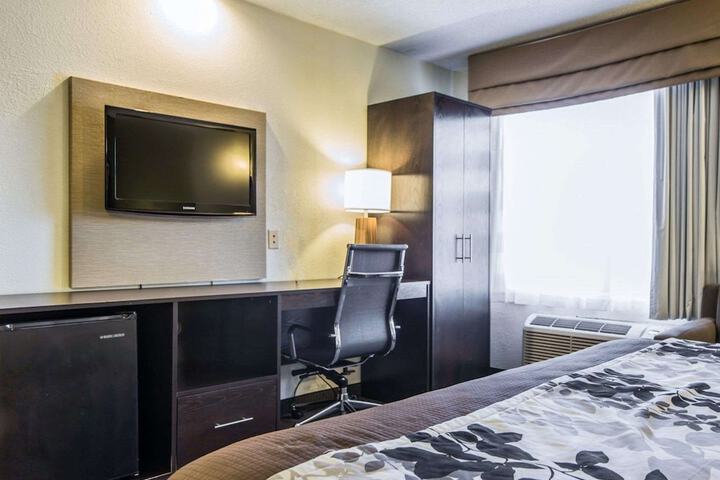 1 King Bed Pet Friendly (5 of 7)