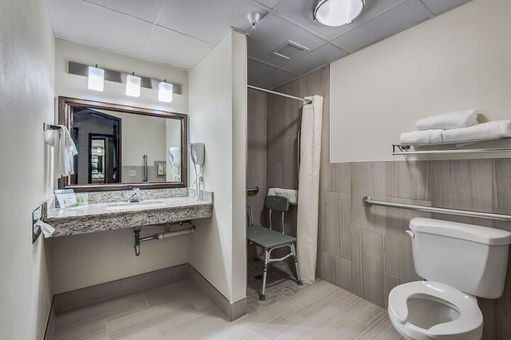1 Queen Bed Mobility Accessible Roll in Shower (3 of 14)