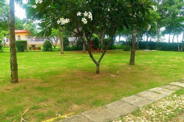 Property Grounds 40 of 75