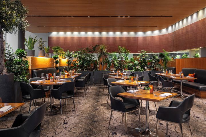 Dining 193 of 260