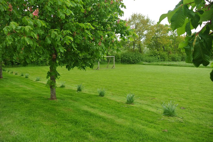 Property Grounds 25 of 39