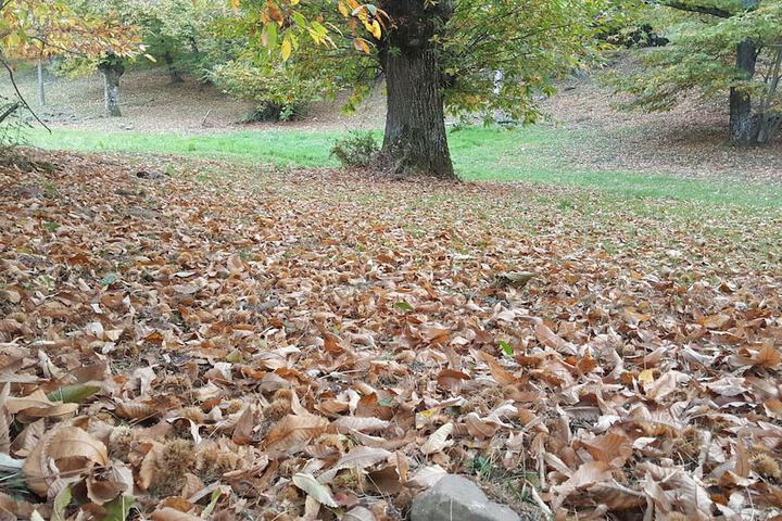 Property Grounds 48 of 67