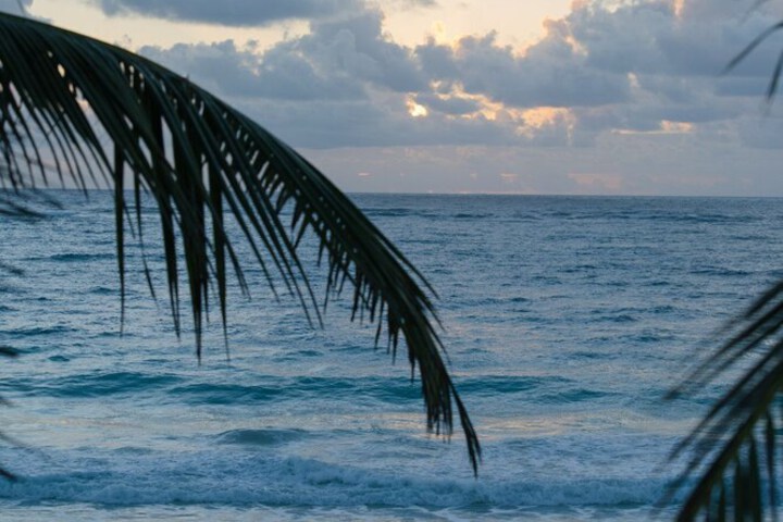 Beach 51 of 53