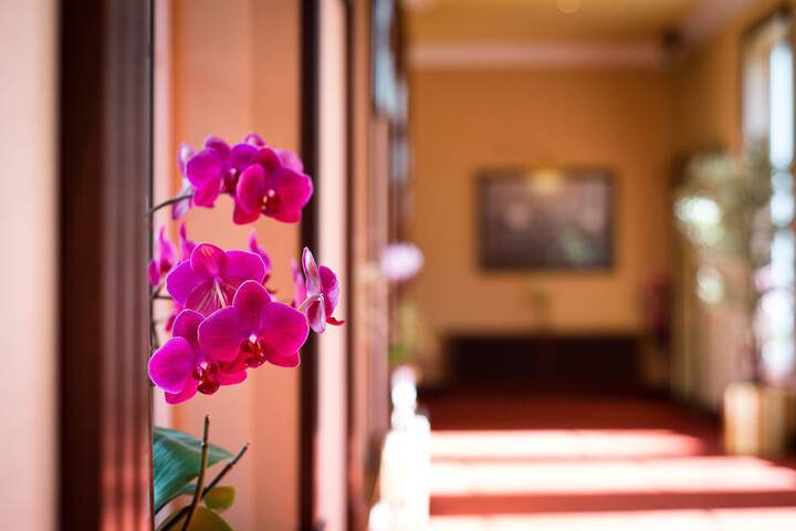 Hotel Interior 6 of 69
