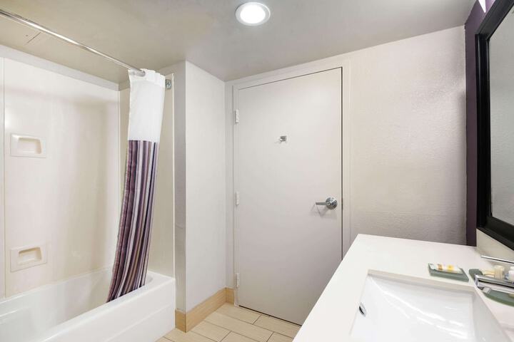 1 King Bed Accessible (9 of 10)