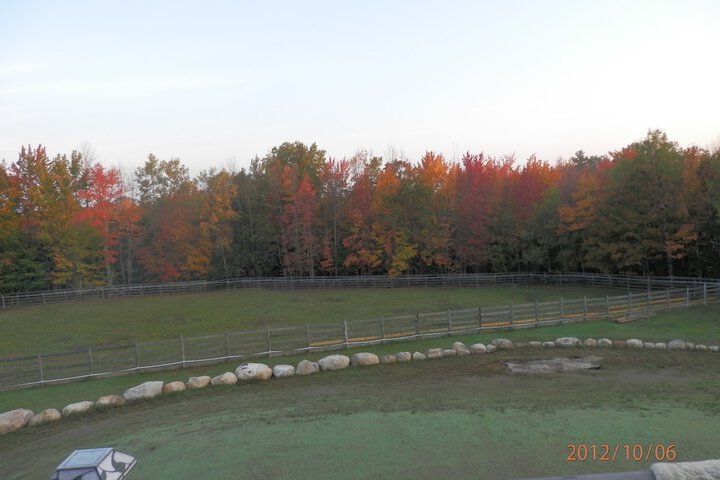 Hotel View 80 of 101