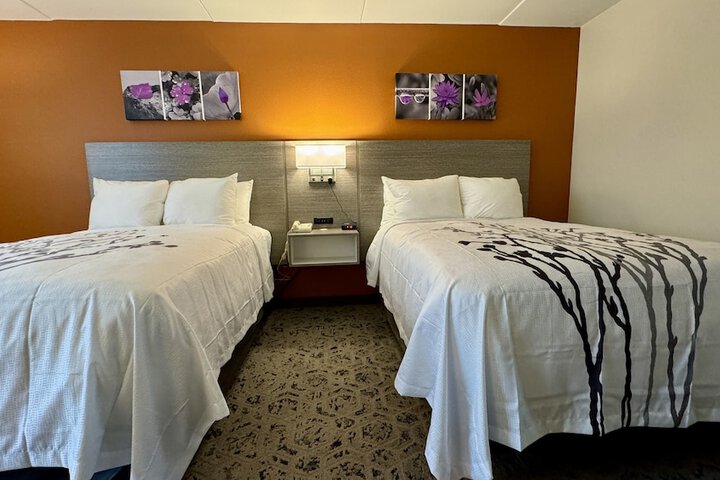 2 Double Beds (7 of 8)
