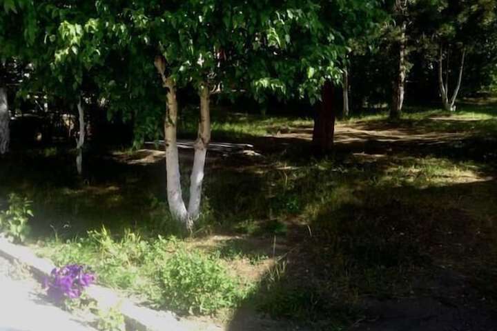 Property Grounds 24 of 31