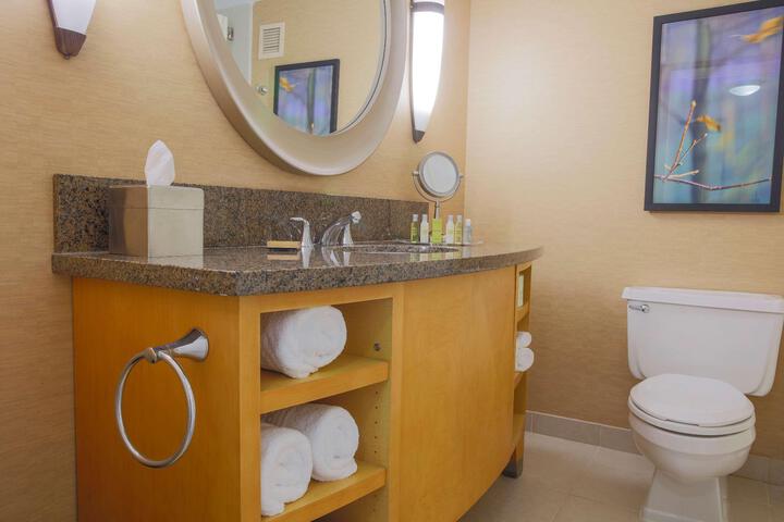 1 King Mobility Accessible with Bathtub (19 of 19)
