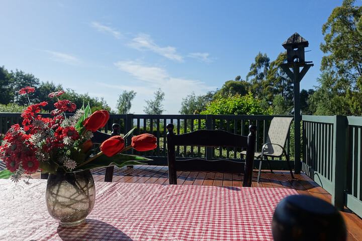 Sundeck 39 of 50