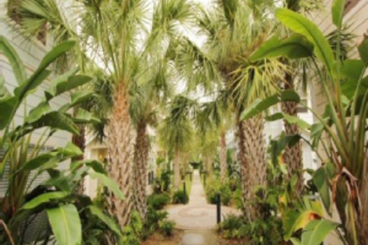 Hotel Exterior 9 of 323