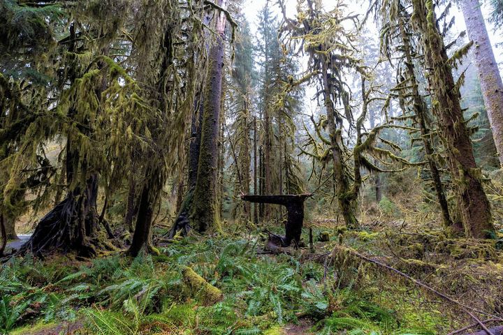 Outdoor Activities 24 of 91