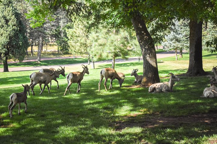 Property Grounds 58 of 87