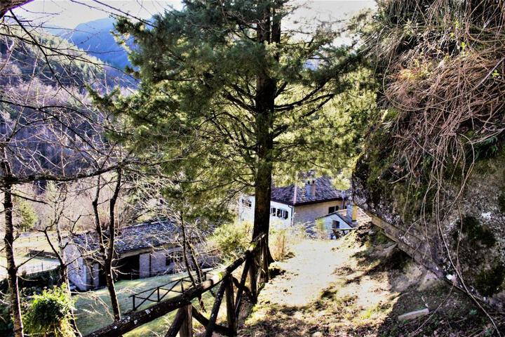 General 39 of 50