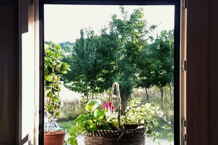 Terrace/Patio 6 of 22